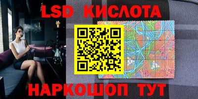 спиды Бийск