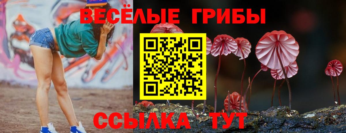 сколько стоит  Псилоцибиновые грибы прущие грибы  Вход с VPN  Киров 