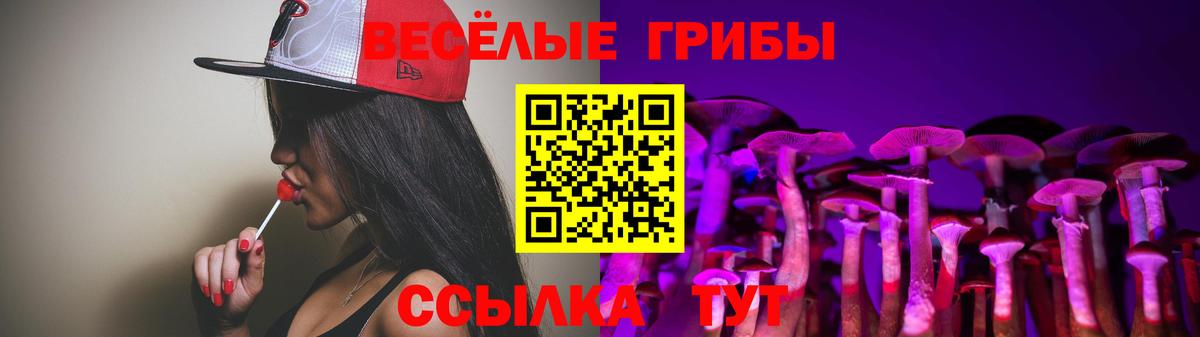 Псилоцибиновые грибы Magic Shrooms Киров